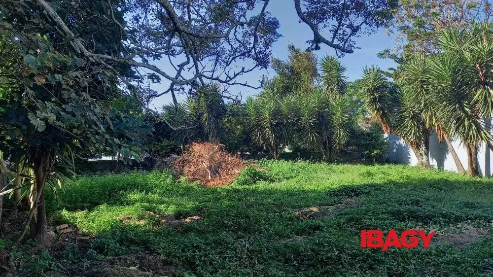 Oportunidade! Terreno em COQUEIROS - Florianópolis