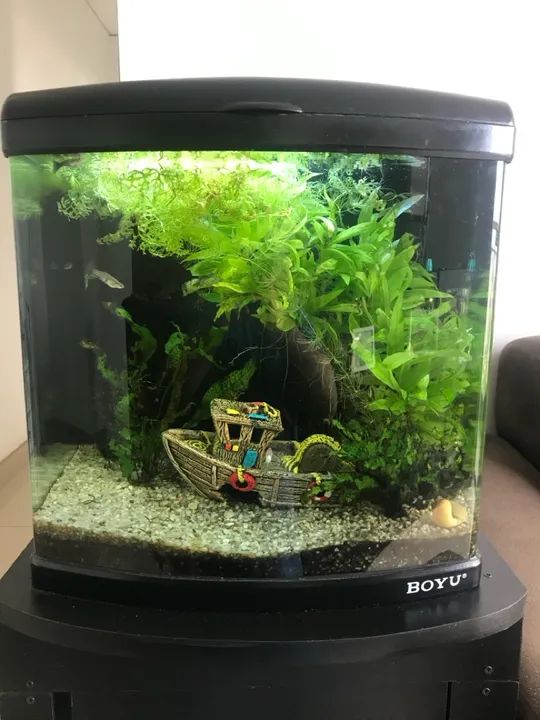 Aquário Boyu-MT 50(80L) - Foto 5