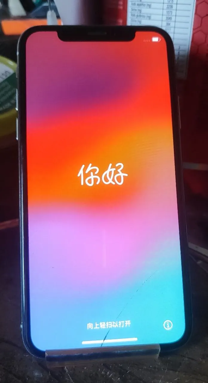 IPHONE XS 256 GB