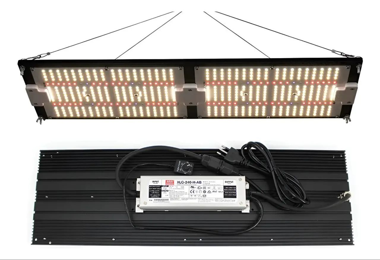 Placa de Crescimento a LED Quantum de 240 W LM301H
