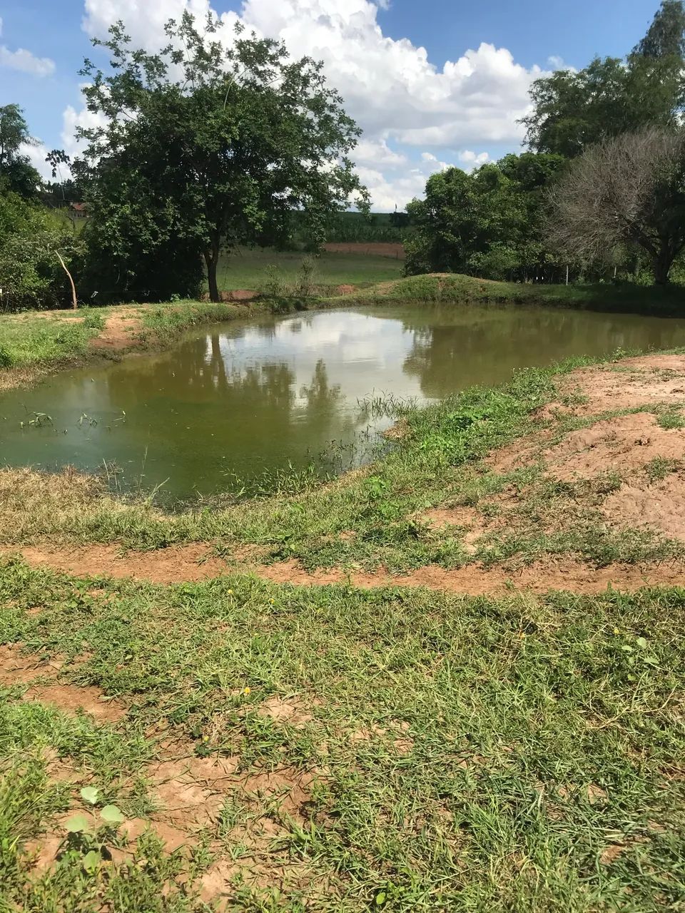 Chácara a venda  - Foto 9