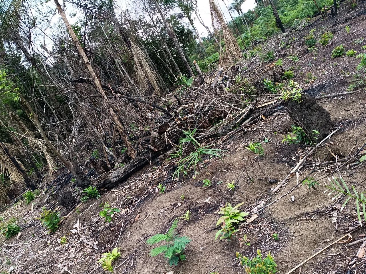 Foto - Iranduba - Centro