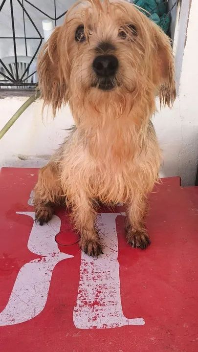 Xbox Series S - Novo - Foto 2