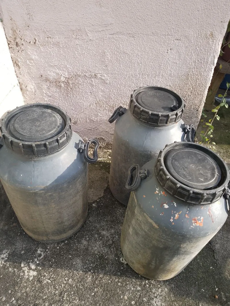 Latão para leite
