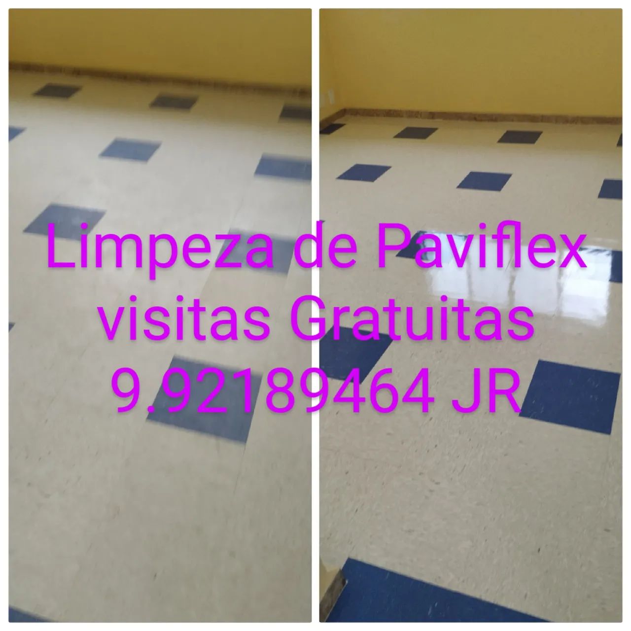 Palante Serviços Visitas Gratuitas 