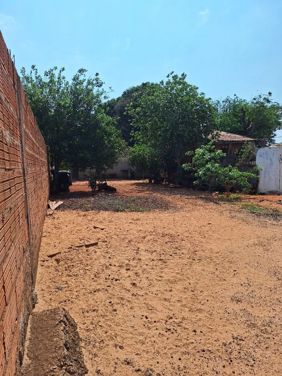 Vendo esse terreno c ess peça