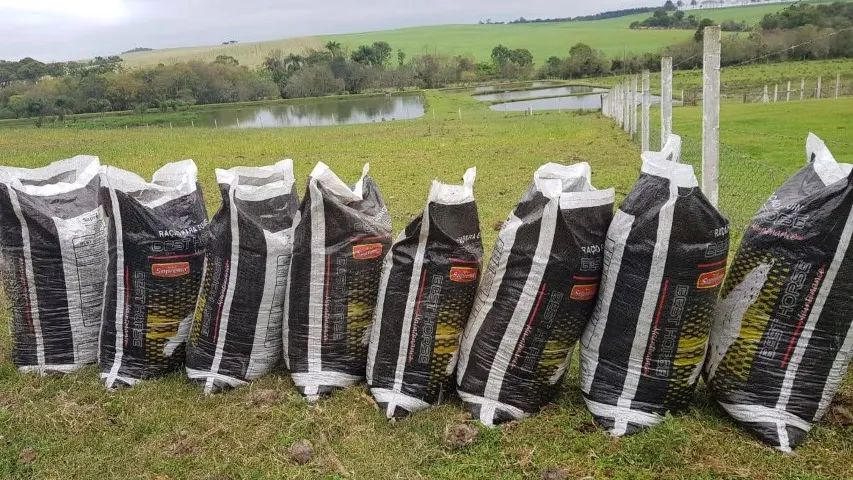 ESTERCO DE CARNEIRO ADUBO ORGÂNICO - Foto 2