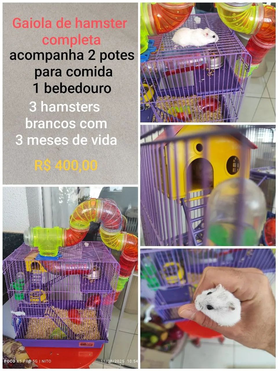 Vende-se 3 hamsters com gaiola.