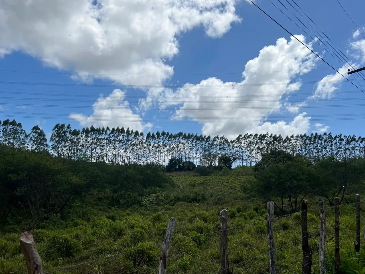 Chácara no Povoado Tabocas - Socorro * - Foto 9
