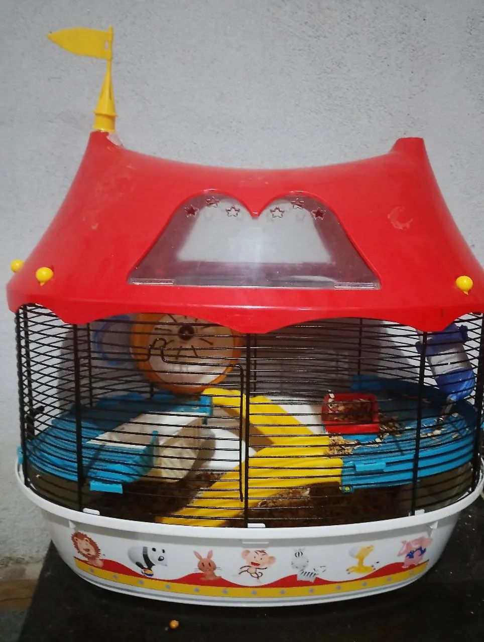 Hamster Russo - Foto 3