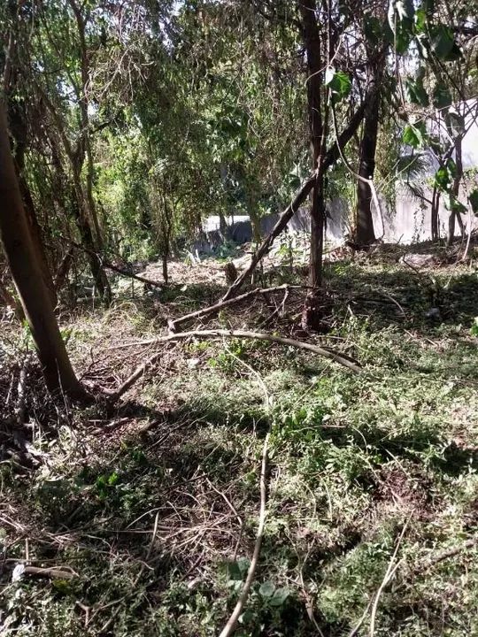 Terreno à venda, 1459 m² por R$ 600.000,00 - Granja Viana - Cotia/SP - Foto 4