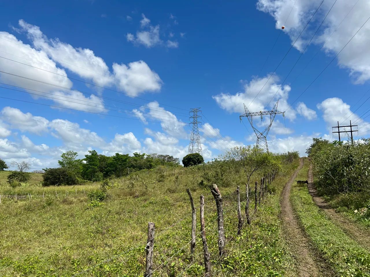 Chácara no Povoado Tabocas - Socorro * - Foto 3