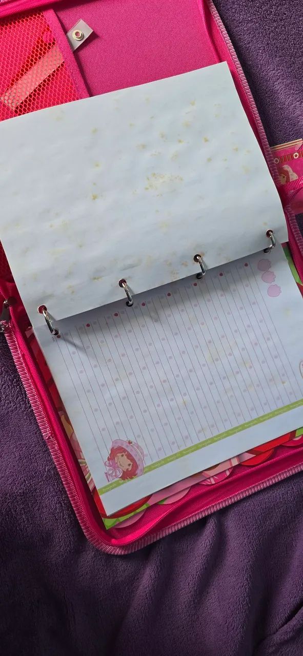 Fichario Moranguinho Y2K Completo  - Foto 4