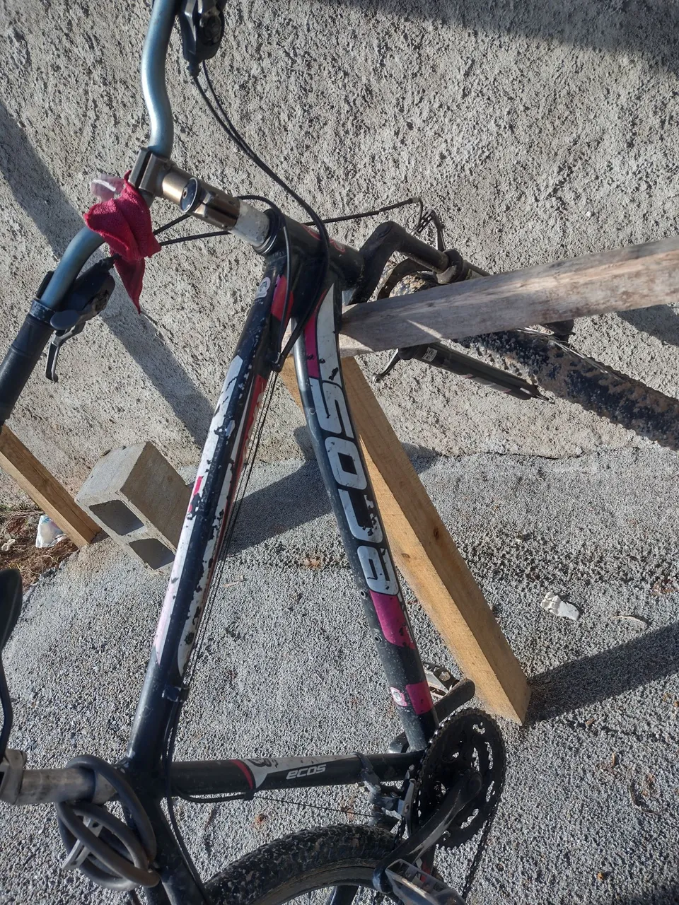 Bicicleta Ecos - top pra vender logo