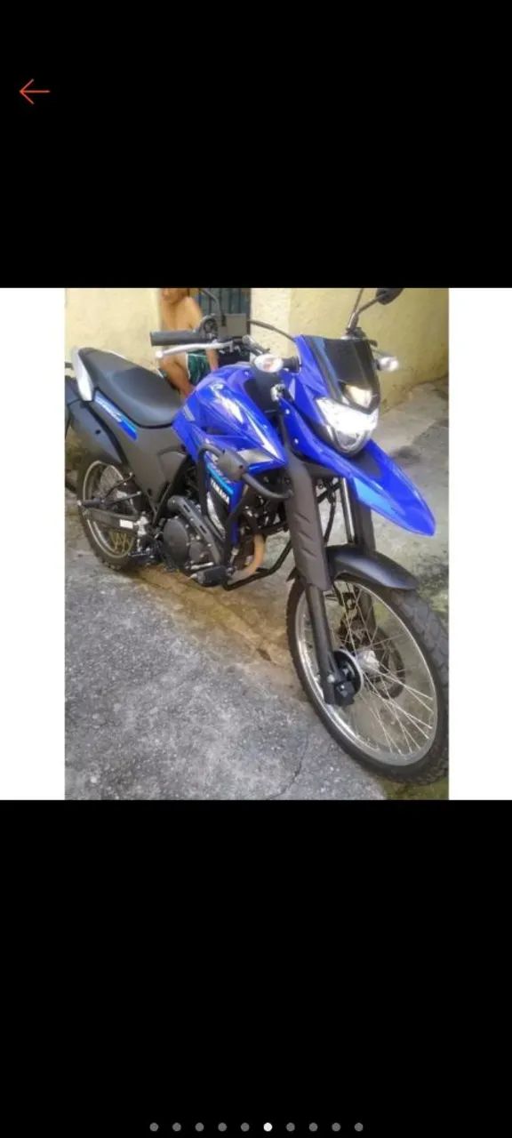 Protetor Lander 19 até 24 