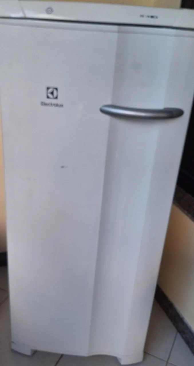 Freezer Electrolux