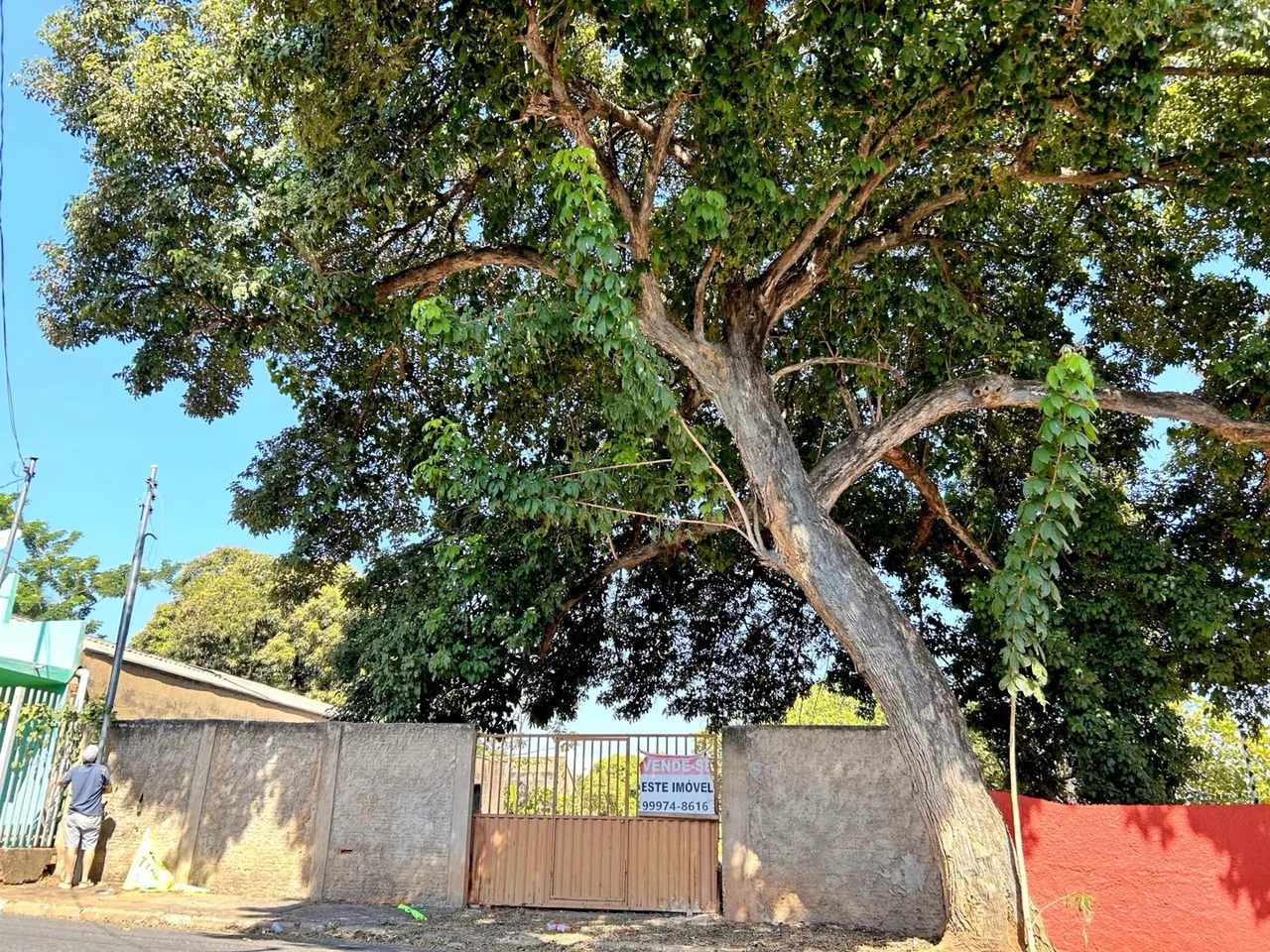 Terreno 378m² escriturado entre Fernando Corrêa e Miguel Sutil - Localização estratégica