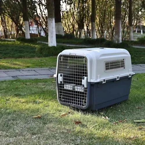 Caixa Transporte Pet Dogfly Padrão Iata Avião Tamanho 7 N7