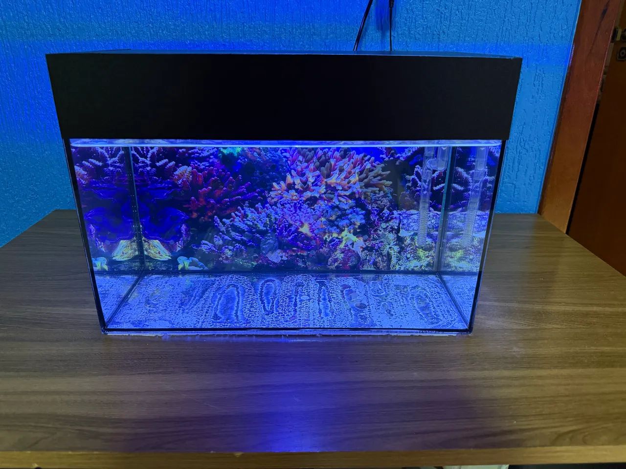 Aquário 19L completo 