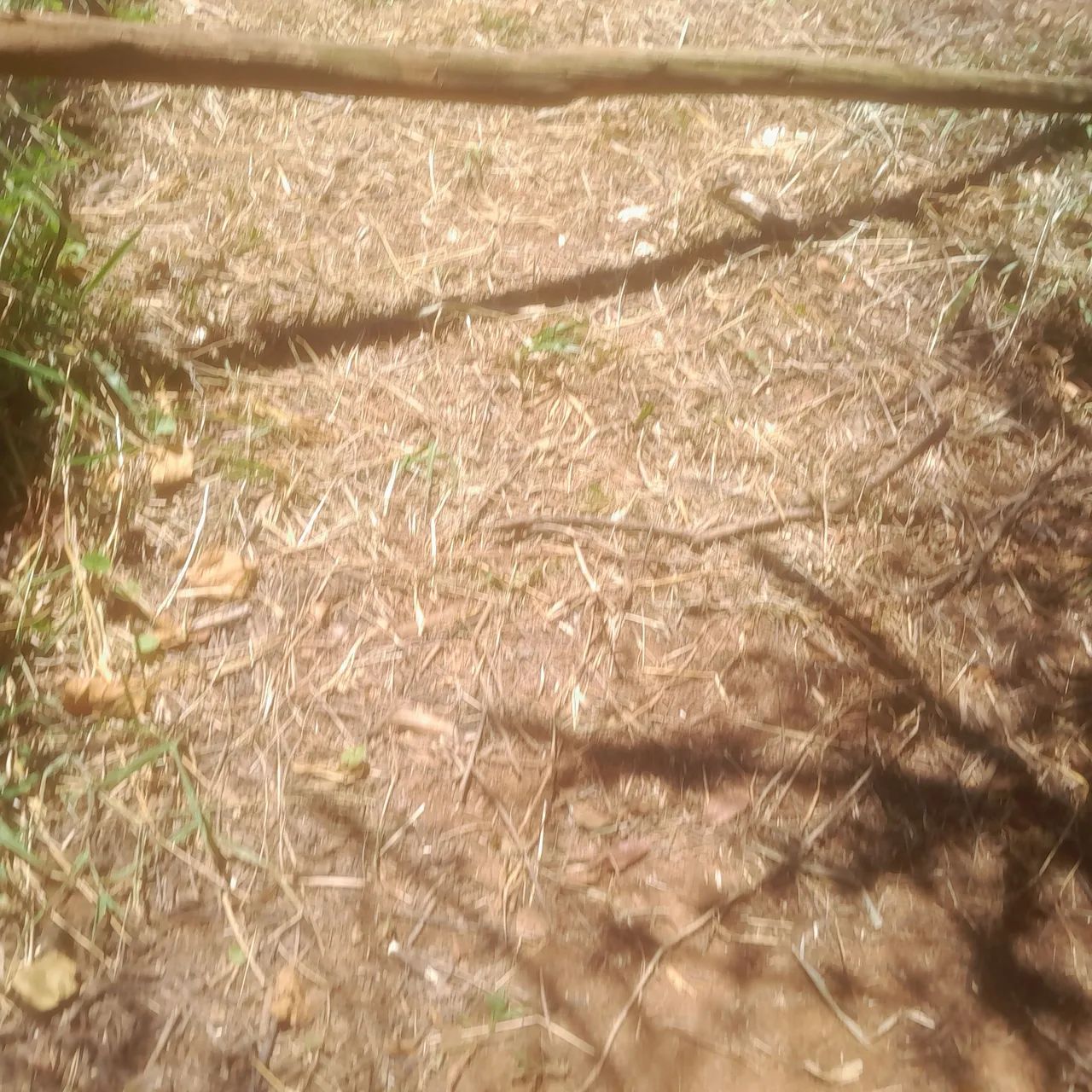 Terreno com área verde em ótima localização - Foto 2