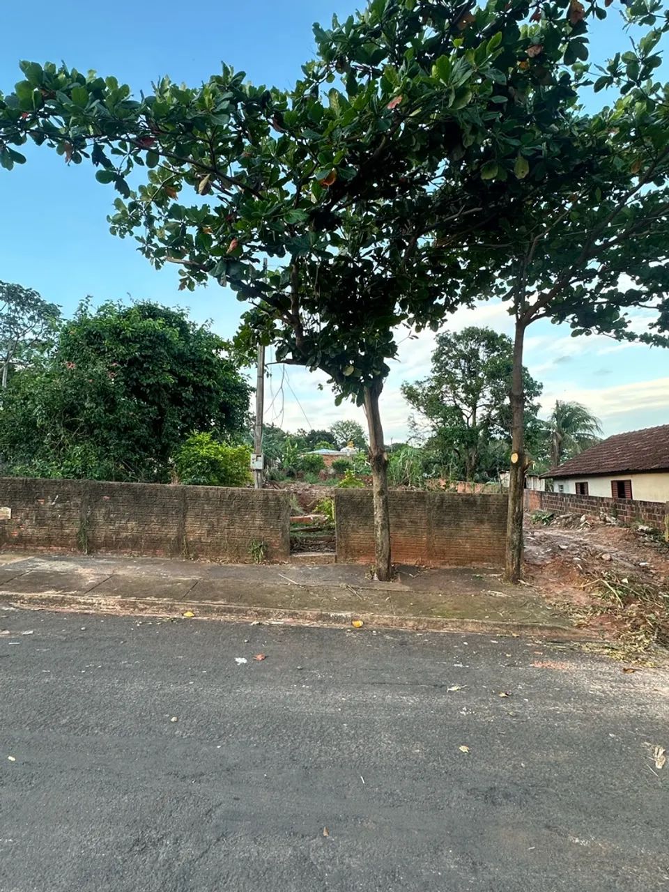 Terreno  - Foto 4