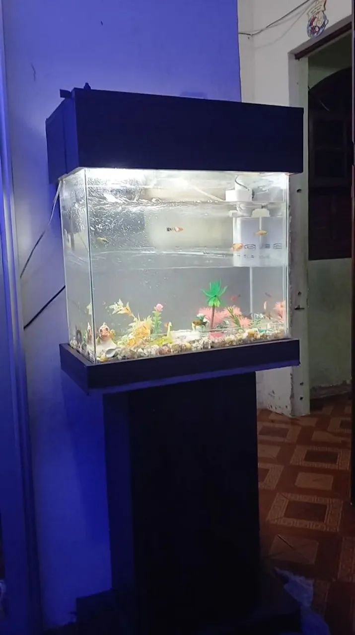 Aquario de 80 litros