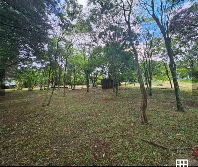 chácara com terreno  - Foto 2