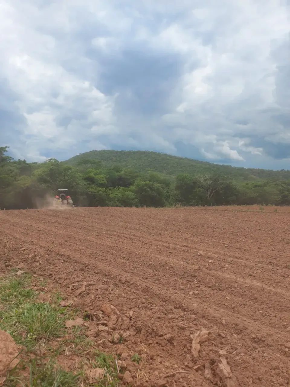 Vendo fazenda com 173 hectares na região de BONFINOPOLIS  próximo a Unai MG - Foto 10