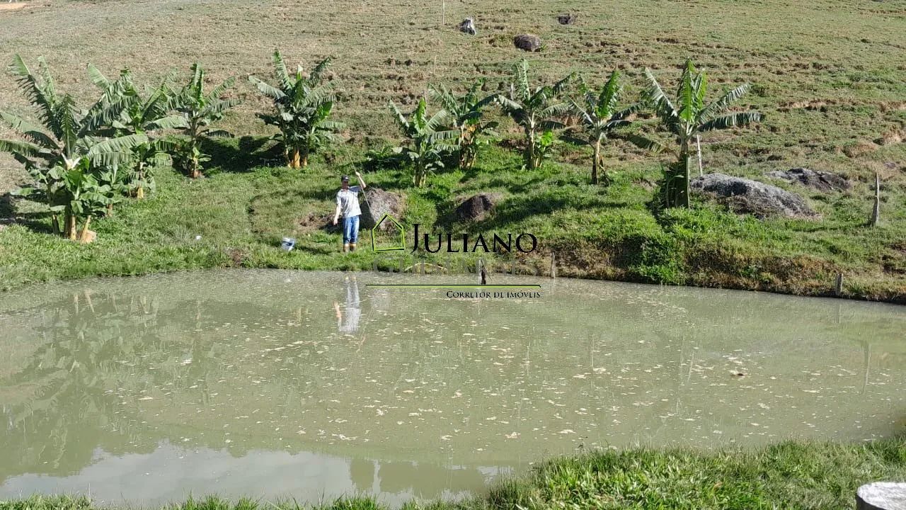 LINDO SÍTIO com 46,2 hectares À VENDA em ANGELINA/SC - Foto 5