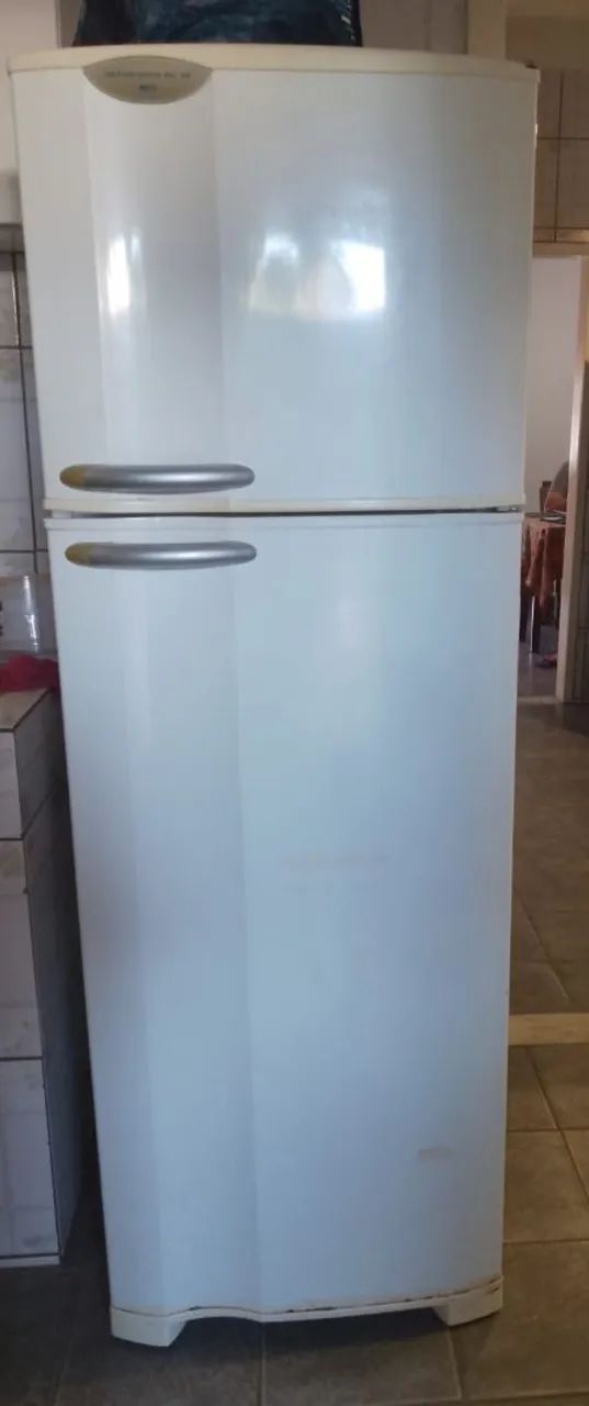 GELADEIRA ELETROX 365L  - Foto 4