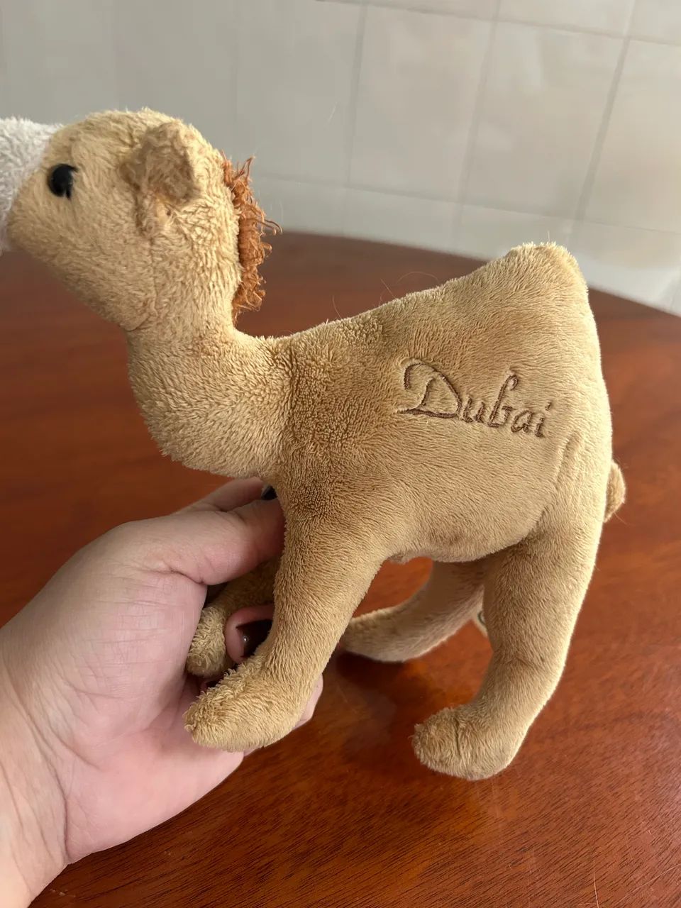 Camelinho de Dubai 