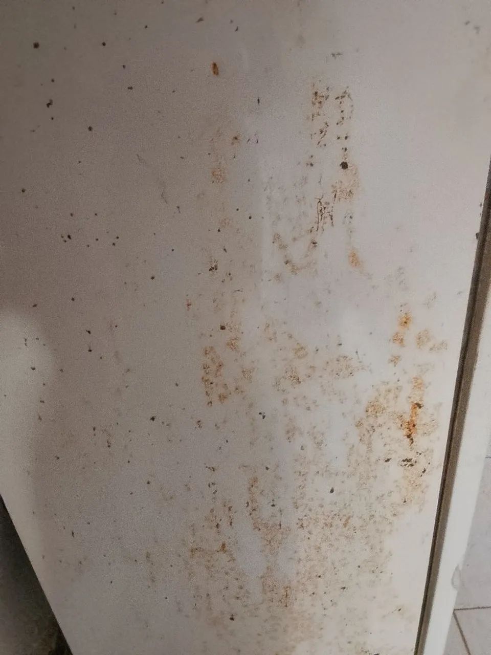 Geladeira em bom estado e funcionando perfeitamente. - Foto 4