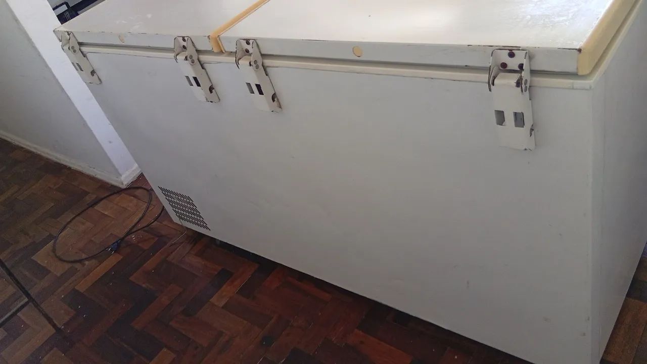 Freezel Horizontal 540l - Foto 2