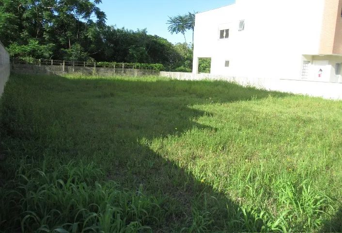 TERRENO PLANO 450m² EM CANASVIEIRAS - Foto 3