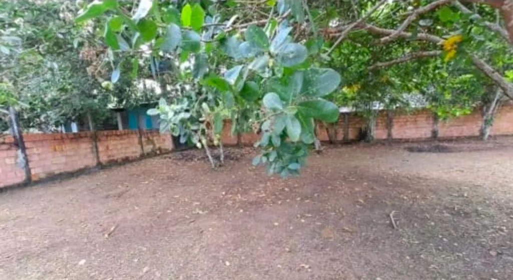 Foto - Manaus - Compensa