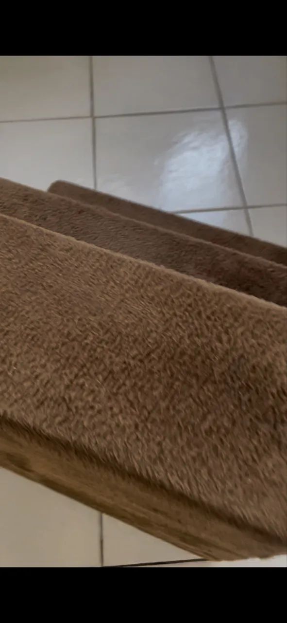 Escada para pet