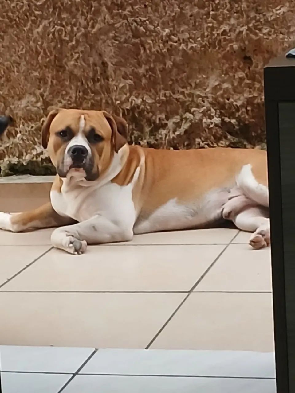 Doando  - Foto 4