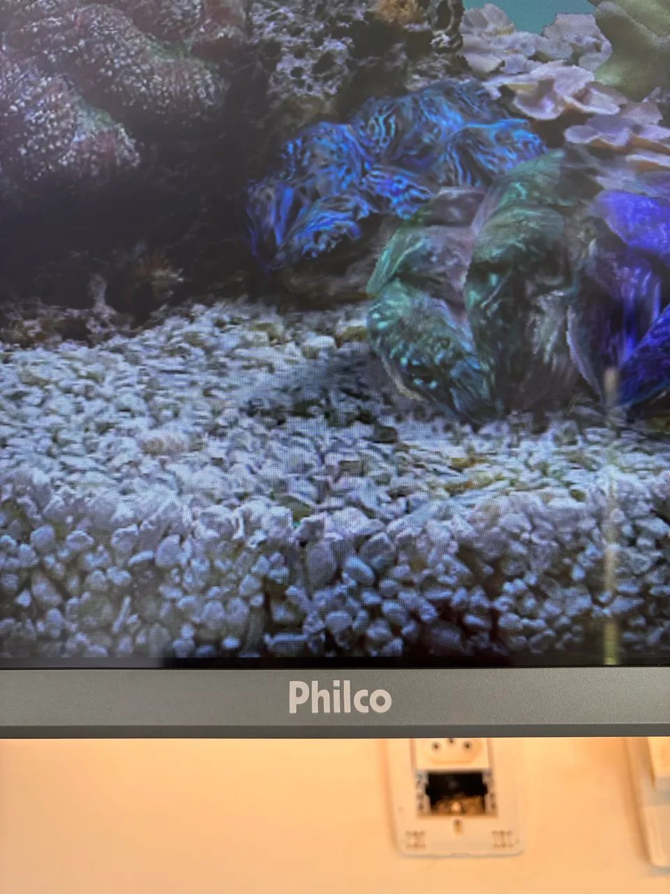 Smart Tv Philco 55?p