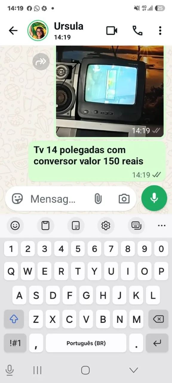 Tv 14 polegadas com conversor 