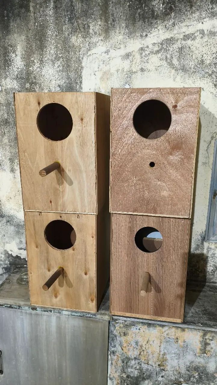Ninhos para Ring Neck  - Foto 2