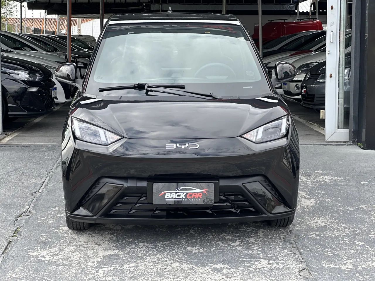 BYD Dolphin Mini (Elétrico) 2025 - Foto 3