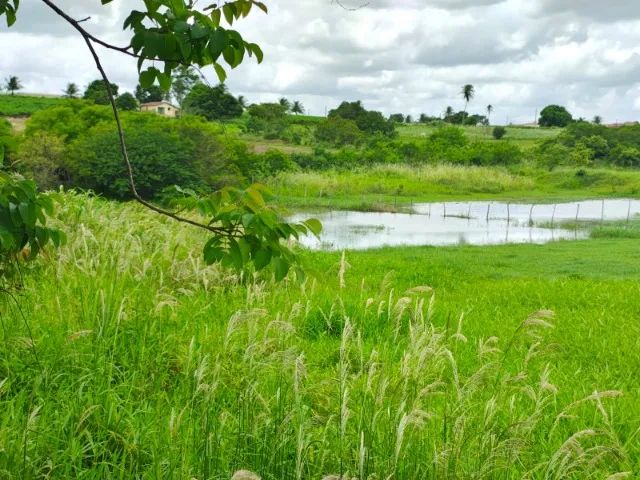 VENDE-SE SÍTIO COM APROXIMADAMENTE 40000M², MUNICÍPIO DE SOBRADO/PB - Foto 4
