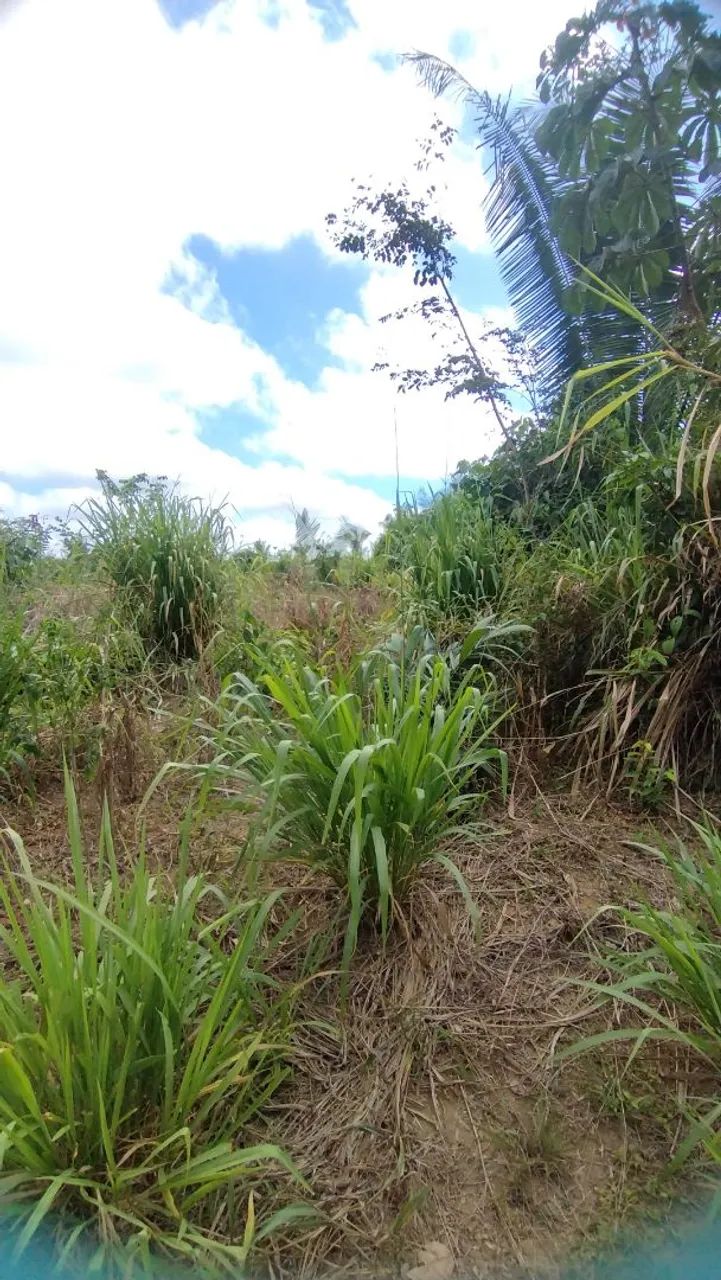 Chácara Agrovila Portel  - Foto 3