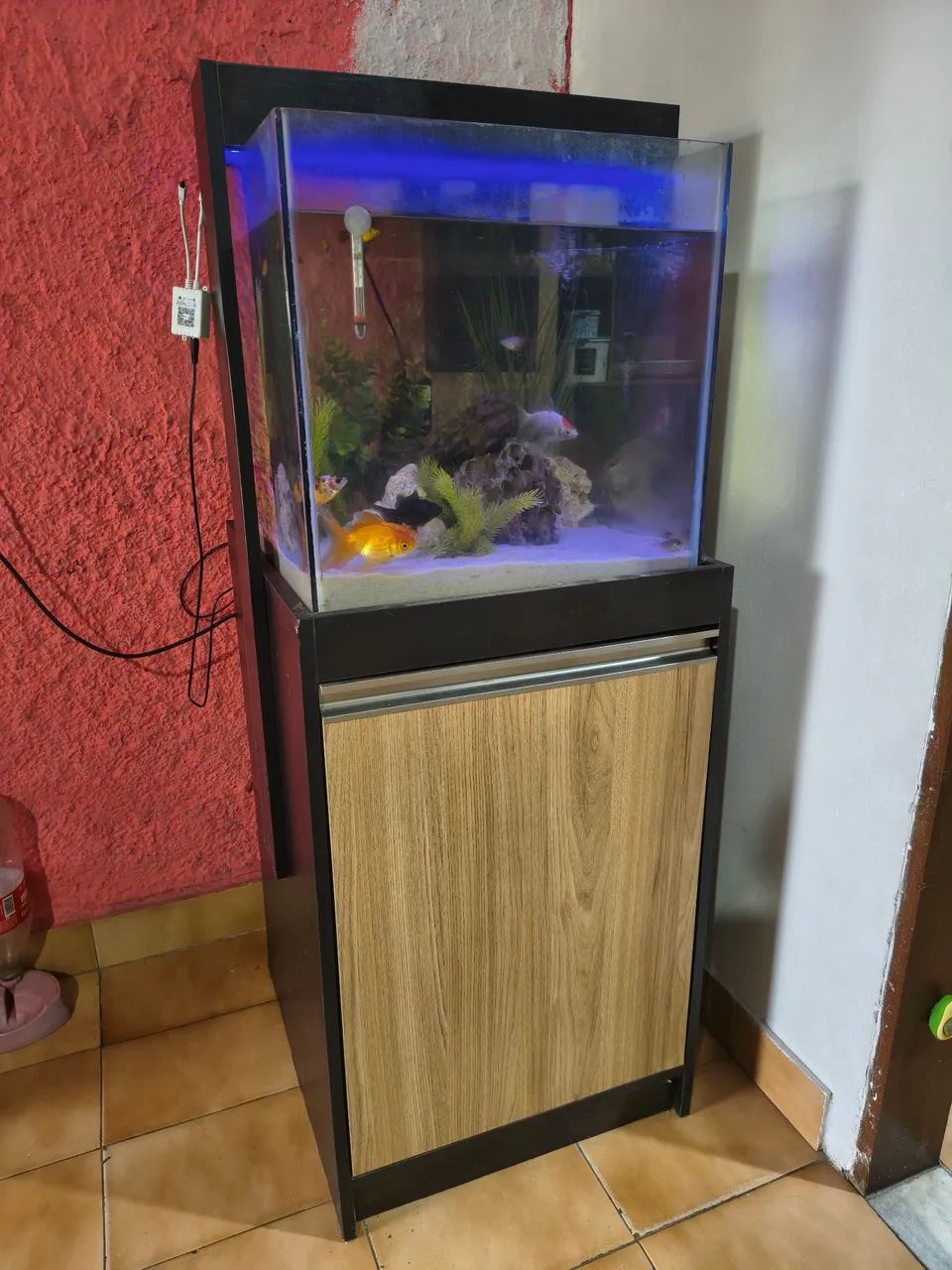 Aquário completo 