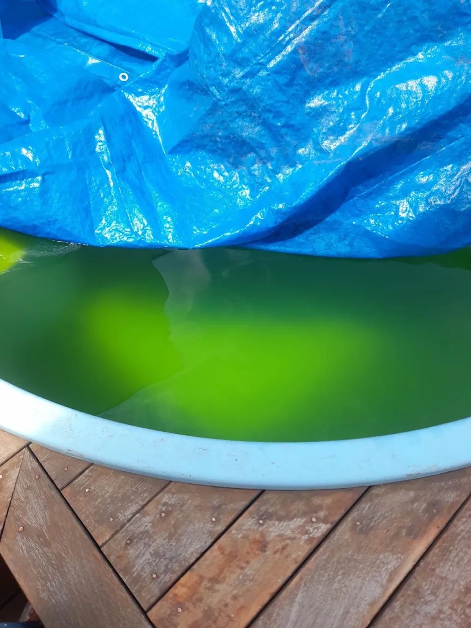 Piscineiro e reforma de decks - Foto 4