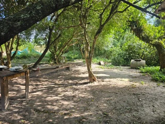 TERRENO COMERCIAL ENERGIA TRIFÁSICA - 1.000 m² - Foto 4
