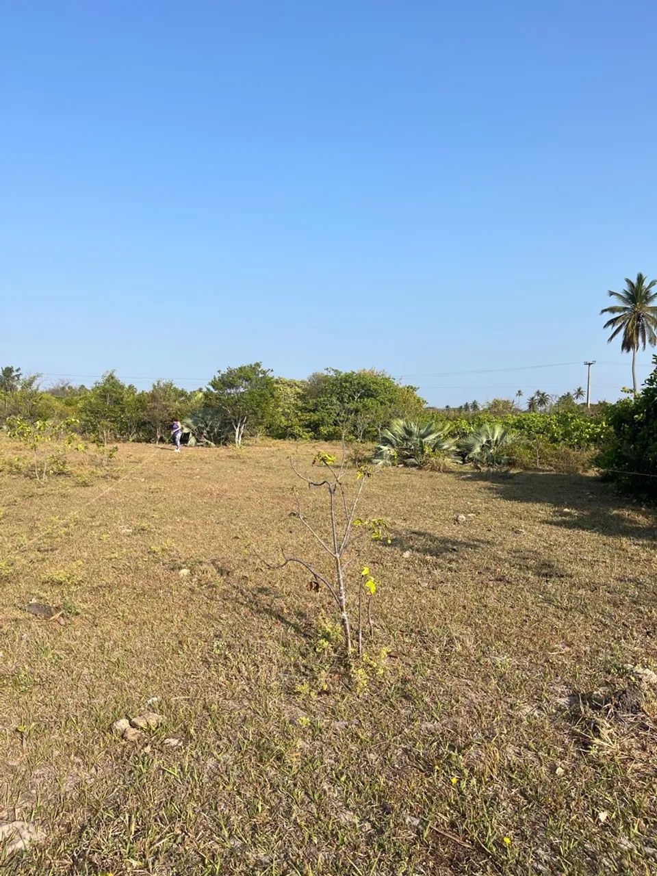 Vende-se 2 Lotes  - Foto 4