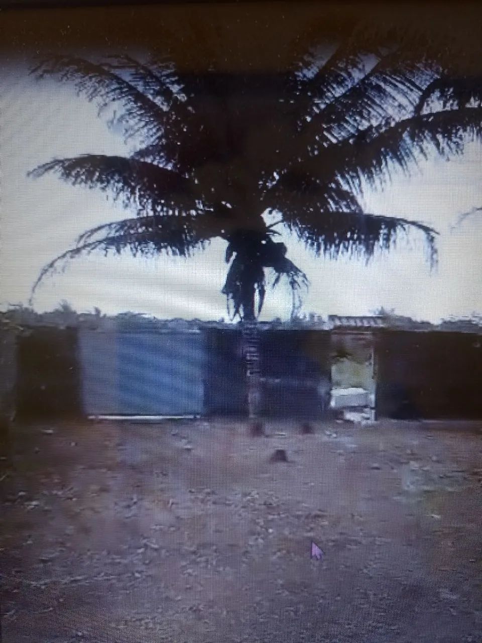 Vendo área na Tânia 400m   - Foto 5