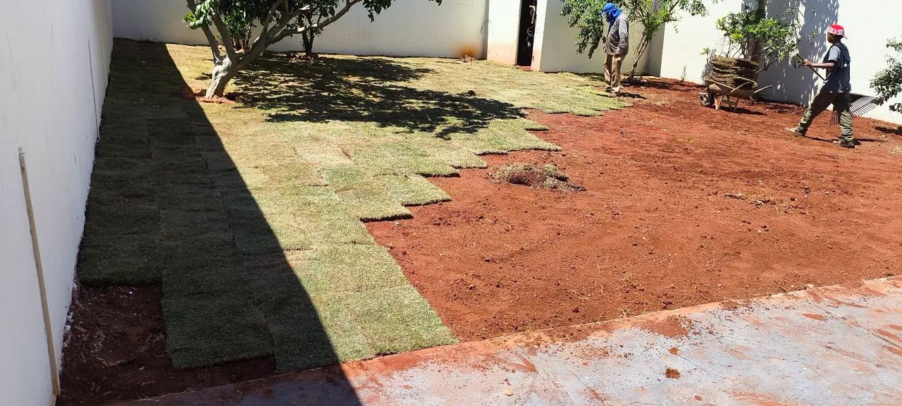 Corte de árvores jardinagem  - Foto 3