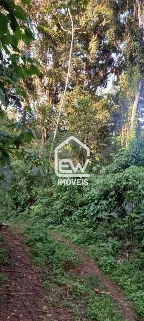Área com Vegetação Nativa para Averbação de Compensação Ambiental